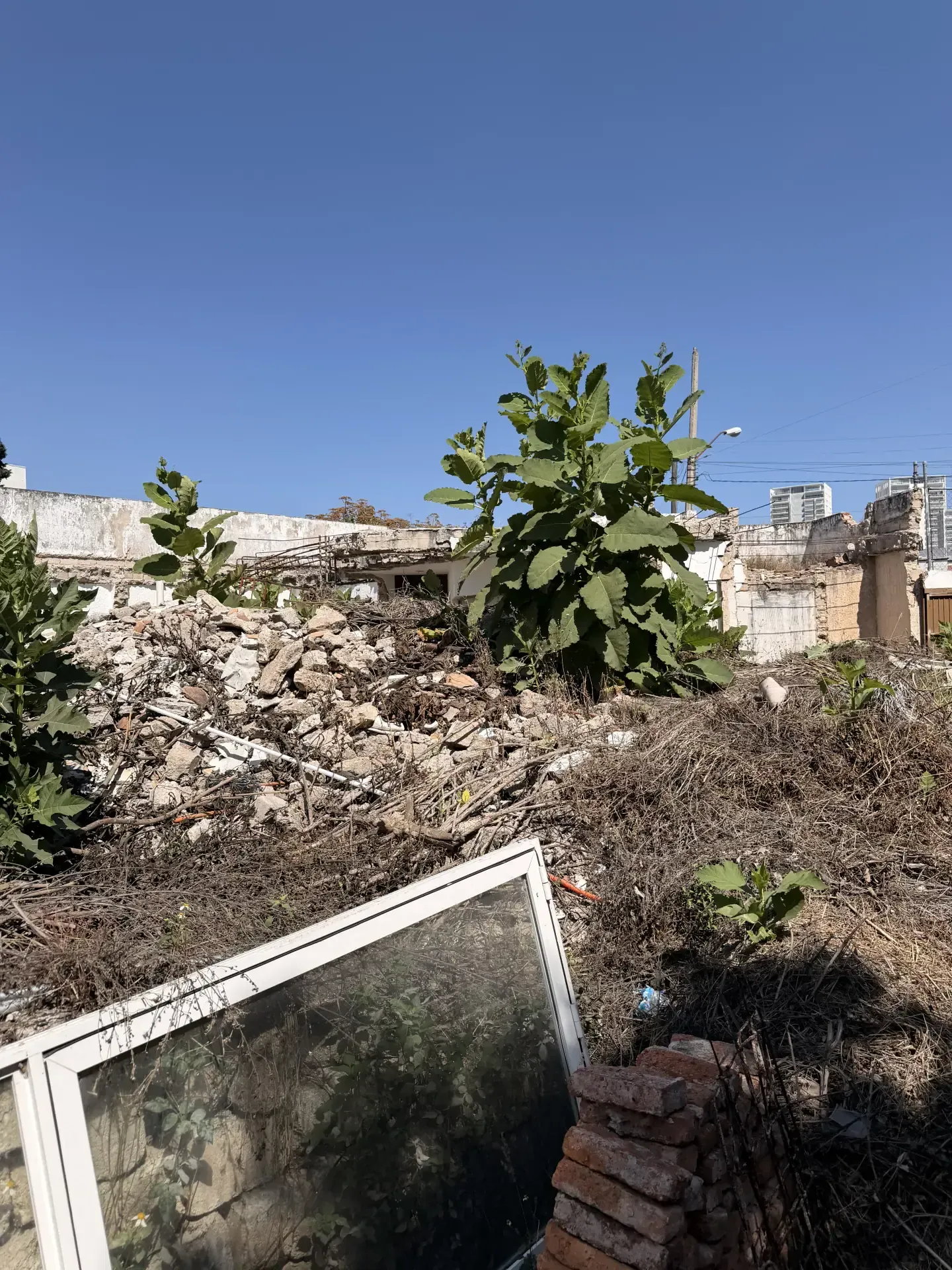 Servicio de demolicion de casa con personal y maquinaria especializada, enfocado en seguridad, retiro de escombro y avance de obra en Guadalajara, Jalisco.