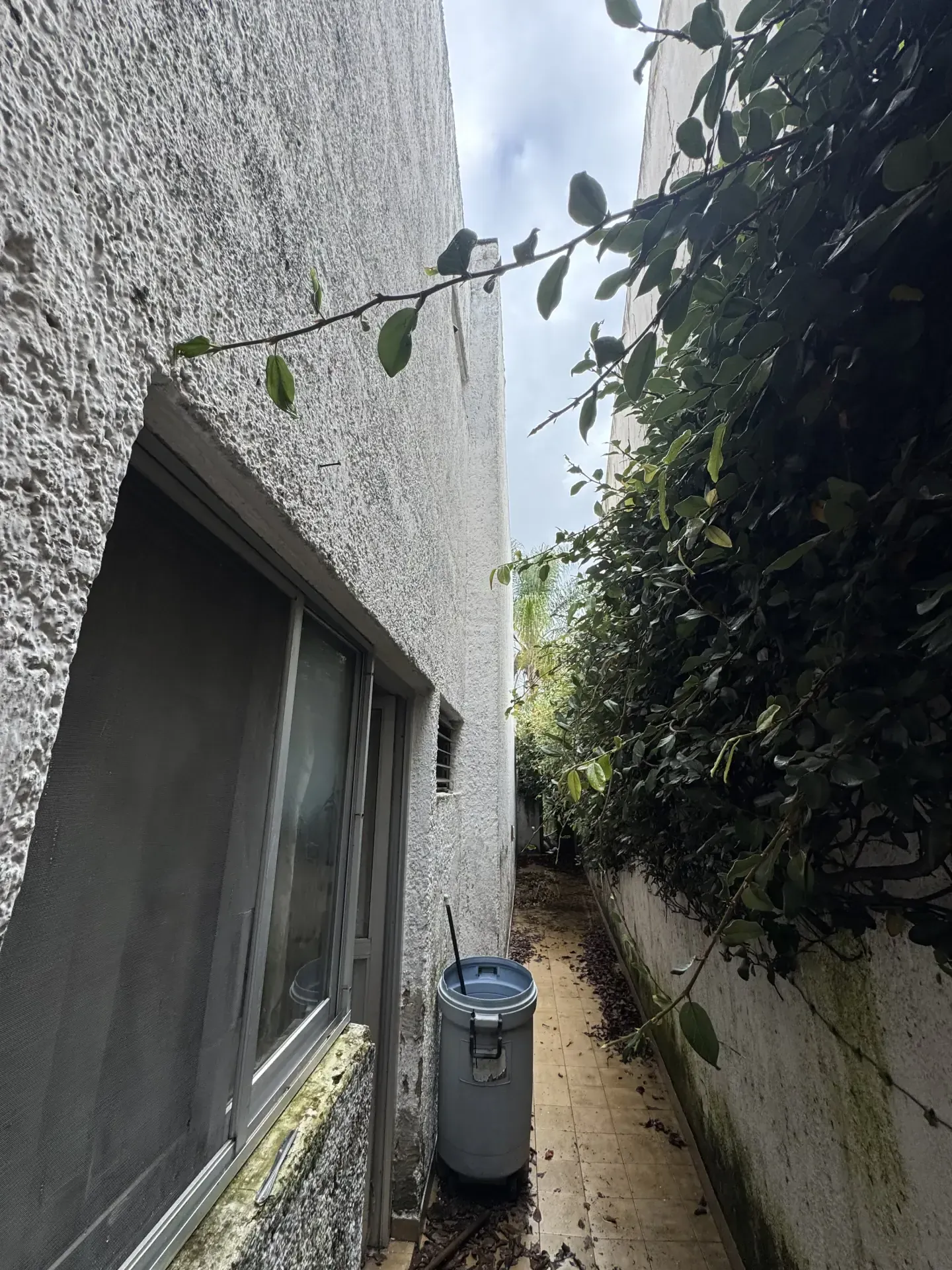 Servicio de derribo controlado con personal y maquinaria especializada, enfocado en seguridad, retiro de escombro y avance de obra en Guadalajara, Jalisco.