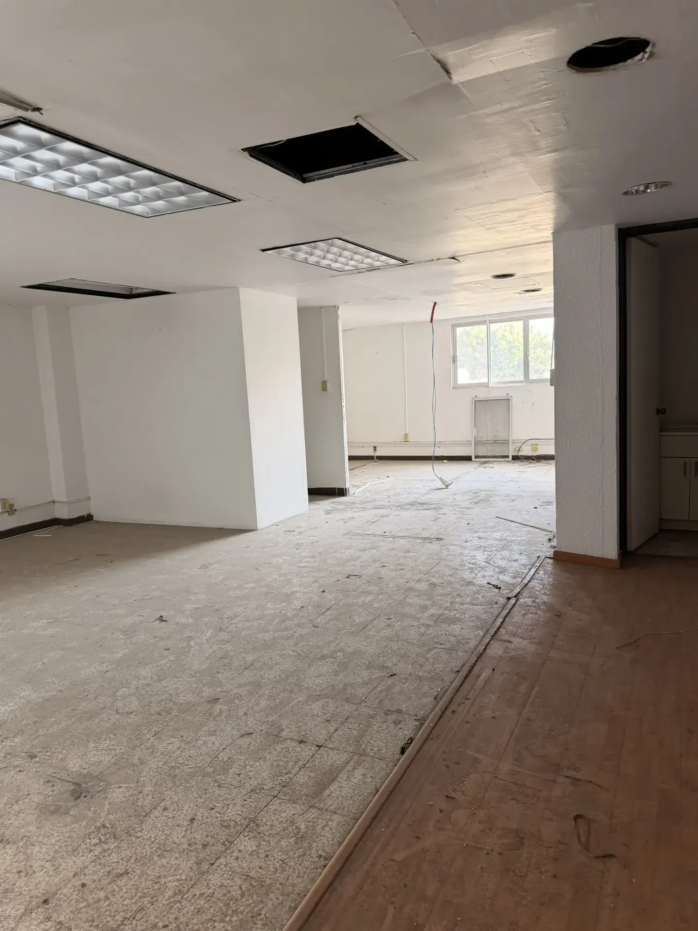 Servicio de derribo controlado con personal y maquinaria especializada, enfocado en seguridad, retiro de escombro y avance de obra en Guadalajara, Jalisco.