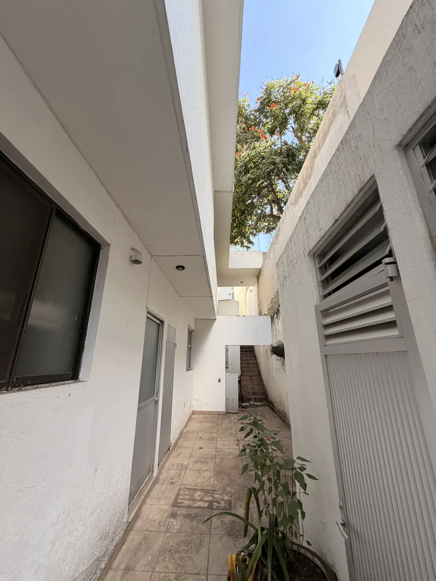 Servicio de excavacion de terreno con personal y maquinaria especializada, enfocado en seguridad, retiro de escombro y avance de obra en Guadalajara, Jalisco.