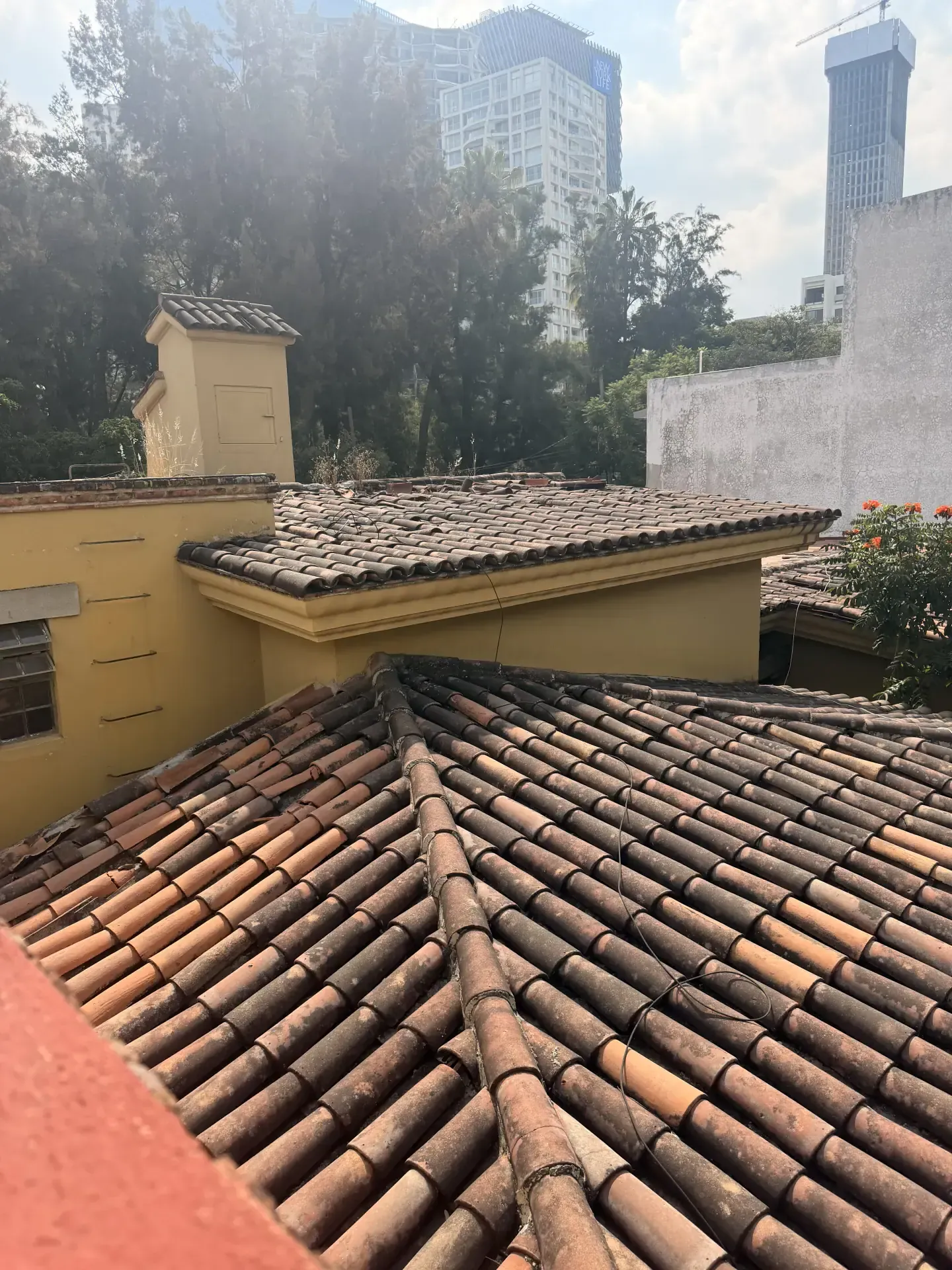 Servicio de maquinaria pesada con personal y maquinaria especializada, enfocado en seguridad, retiro de escombro y avance de obra en Guadalajara, Jalisco.